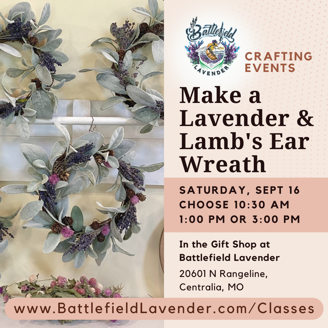 Battlefield Lavender