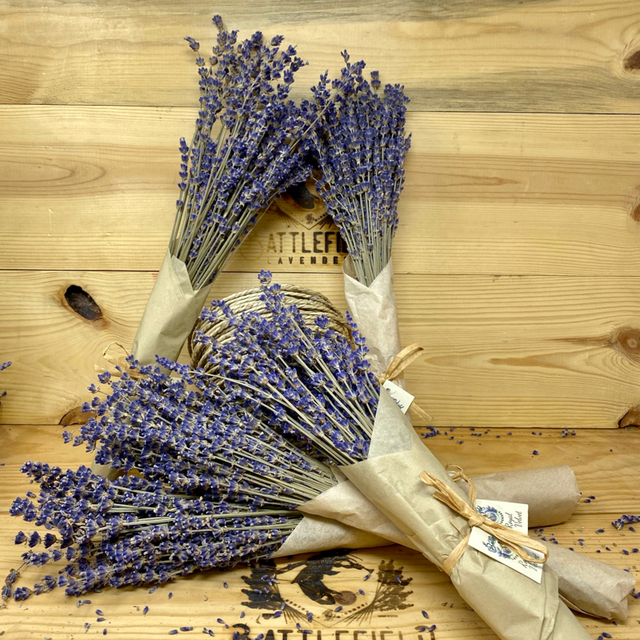 Dried Royal Velvet Lavender Bundle, 100% Natural Dried Lavender Flowers for  Home Decoration, Lavender for DIY Home and Wedding Decor
